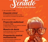 Cartel Concierto Sentido 2016