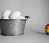 Jornadas de discriminación
